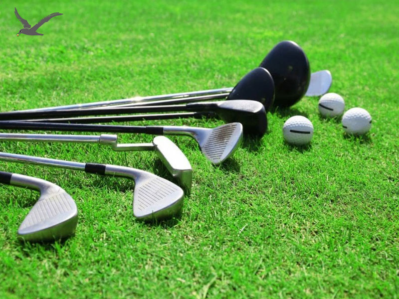 Comment choisir des ensembles de clubs de golf adaptés à vos consommateurs