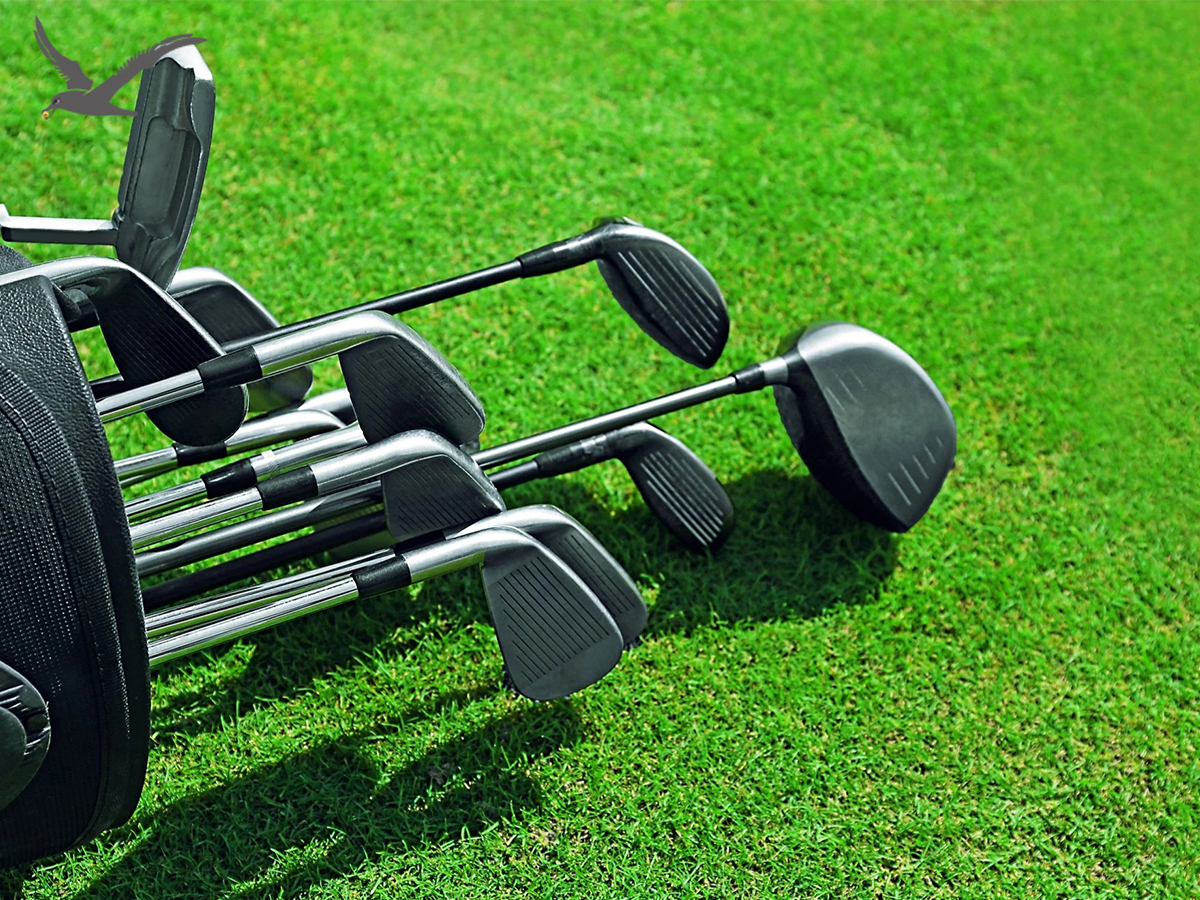 Sur les diplômes de club de golf