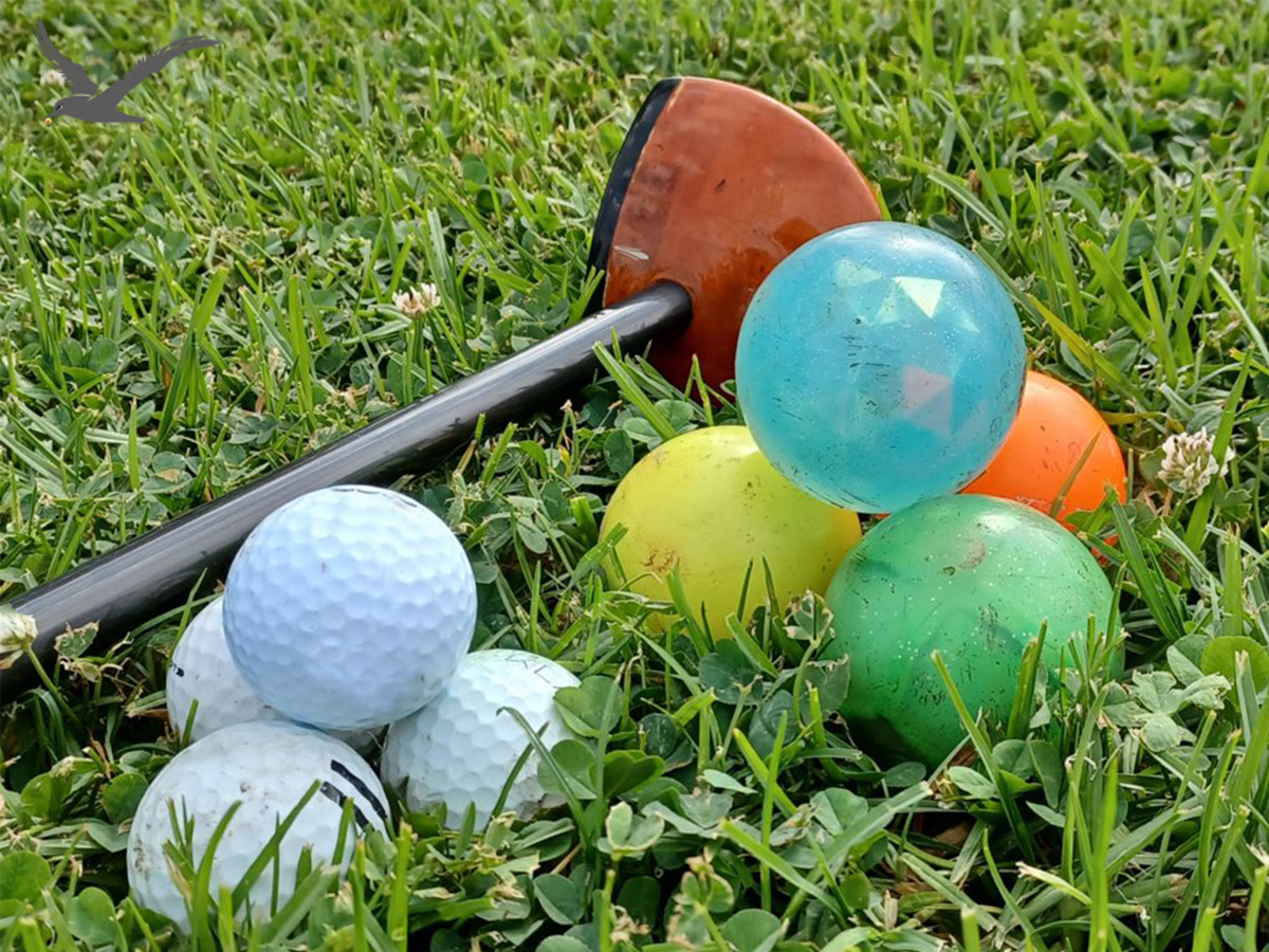 Diversité des balles de golf de parc