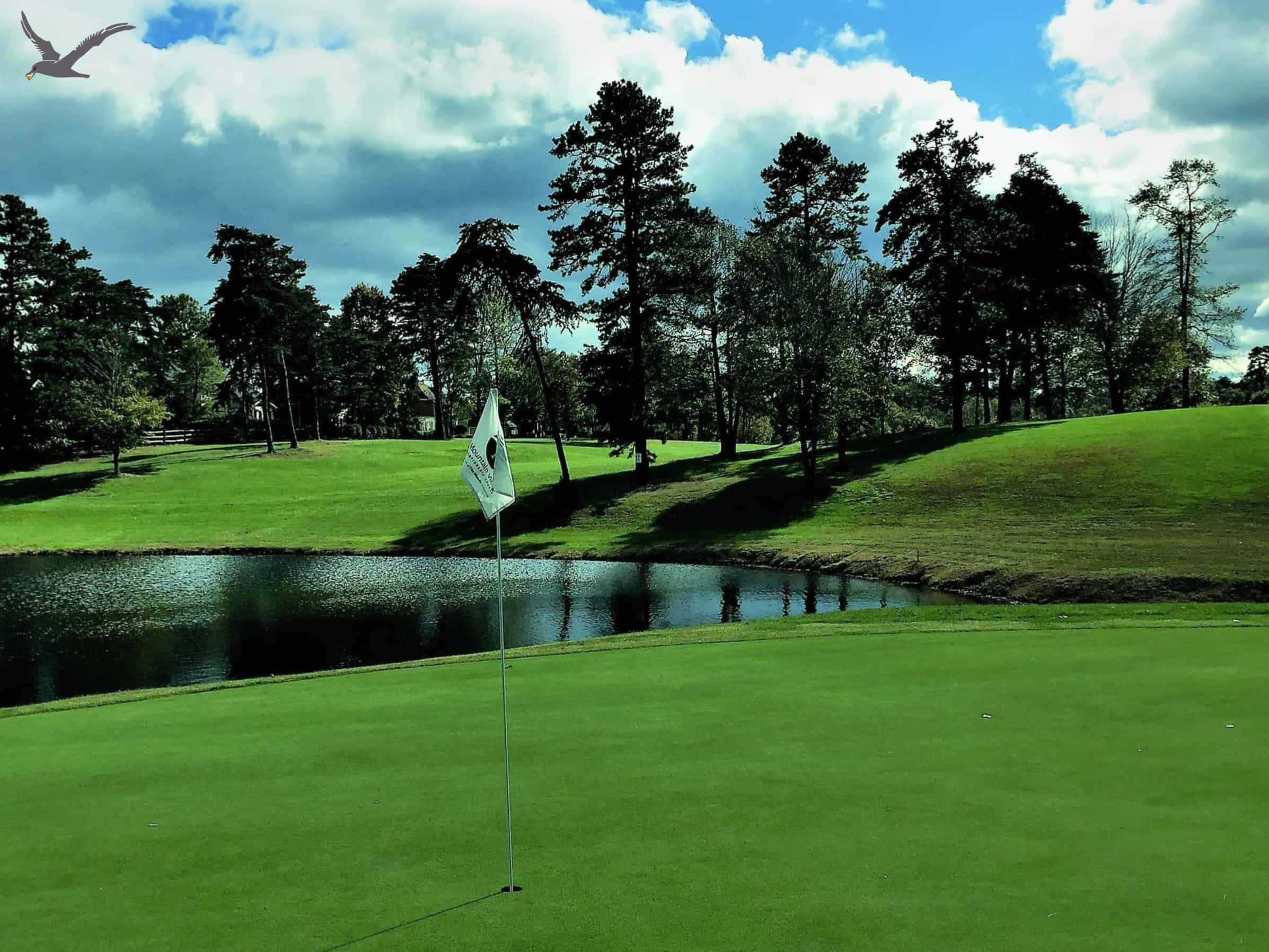 The Albatross Sports : 10 faits rapides pour connaître le golf (partie 1)